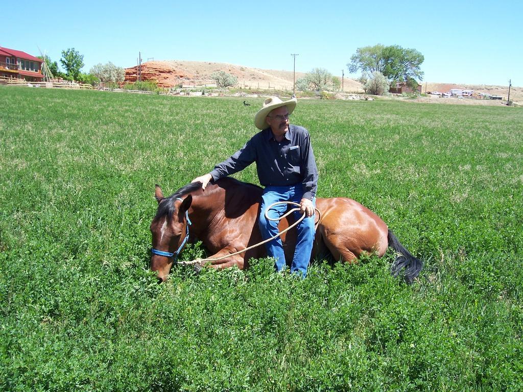 Hotel K3 Guest Ranch Cody Zewnętrze zdjęcie